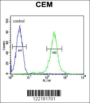 CFP Antibody (Center)