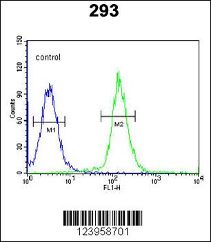 CDC45L Antibody (Center)