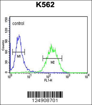 ACBG2 Antibody (Center)