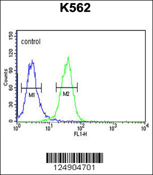 PGP Antibody (N-term)