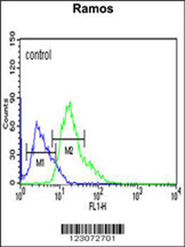 C19orf18 Antibody (Center)