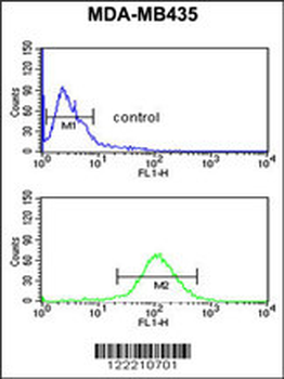 NARFL Antibody (Center)