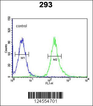 STX1A Antibody (N-term)