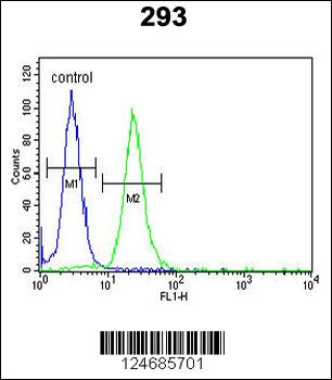 LMBR1L Antibody (C-term)