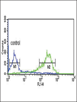 HAPLN1 Antibody (N-term)