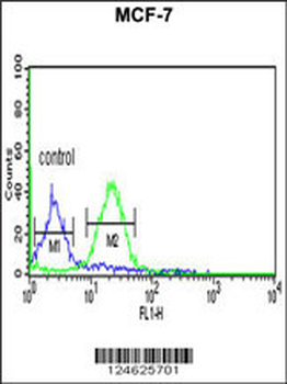 GPHN Antibody (Center)