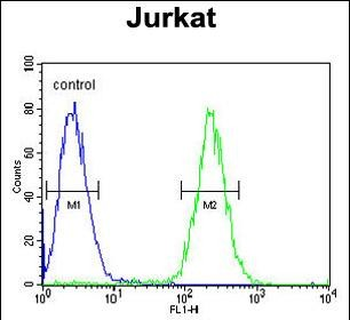 GNAT1 Antibody (C-term)