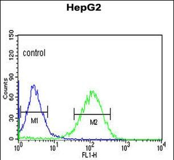 ZNF202 Antibody (Center)