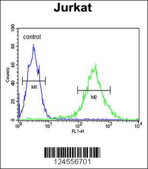 PKHH2 Antibody (C-term)