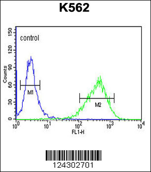 UPK1B Antibody (Center)