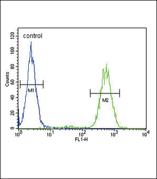 SLC25A37 Antibody (C-term)