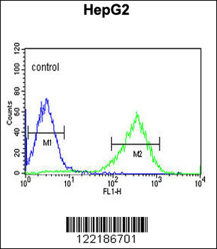 HFE2 Antibody (C-term)