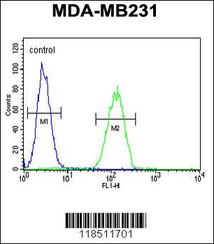 NEU1 Antibody (Center)