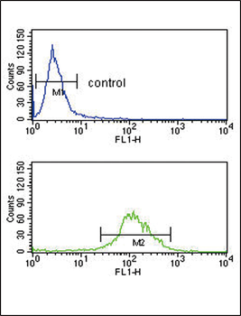 TAT Antibody (Center)