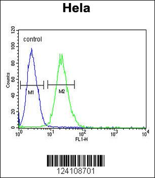 RPL31 Antibody (Center)