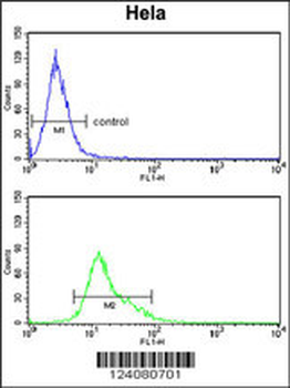 TNFRSF10D Antibody (Center)