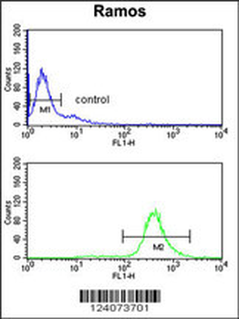 EIF2A Antibody (Center)