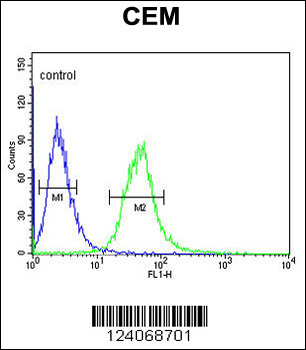 AMY1A Antibody (Center)