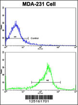 SERPINA9 Antibody (Center)