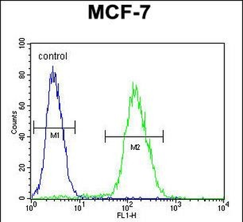 ABHDB Antibody (Center)