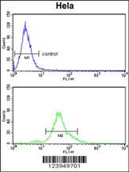 ACP1 Antibody (N-term)