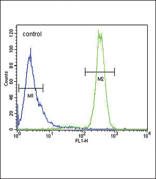 p19 Antibody (N-term)