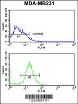 DIRAS1 Antibody (Center)