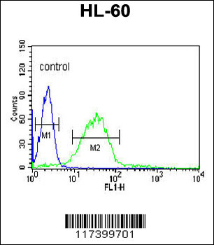 LIPE Antibody (C-term)