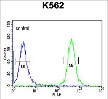 TREF1 Antibody (C-term)