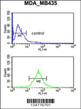 TFPT Antibody (N-term)