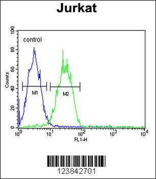 ARGLU1 Antibody (N-term)