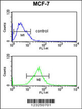 SNRPD3 Antibody (C-term)