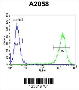 PTMS Antibody (C-term)