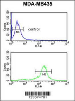 CBARP Antibody (Center)
