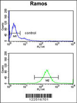 C7 Antibody (Center)
