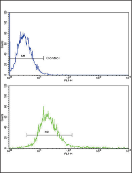 RECK Antibody (Center)