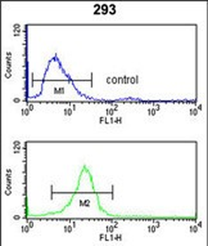 CD49f Antibody (C-term)