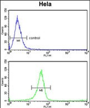 TSPAN6 Antibody (C-term)