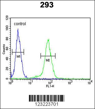 CLDN8 Antibody (Center)