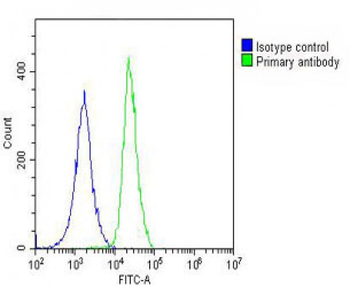 ANGPTL4 Antibody (Center)