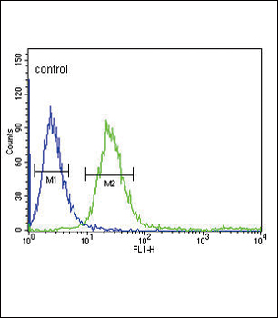 FCGR1B Antibody (C-term)
