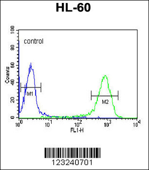 DCP2 Antibody (Center)