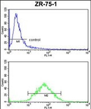 PXMP4 Antibody (Center)