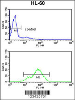 BAHD1 Antibody (C-term)