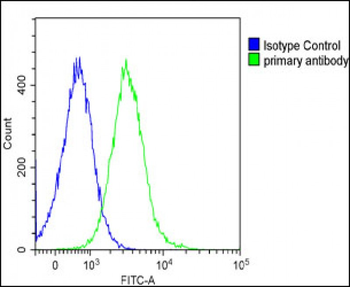 PTGER3 Antibody (N-term)