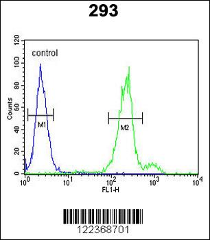 CLRN3 Antibody (C-term)
