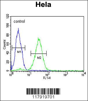 CREM Antibody (C-term)