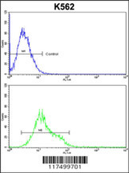 Denatured ATG1 Antibody