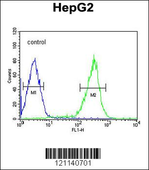 PCBD1 Antibody (Center)