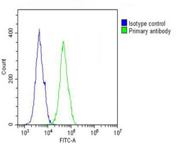 COL17A1 Antibody (Center)